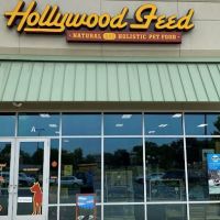 Hollywood Feed ico