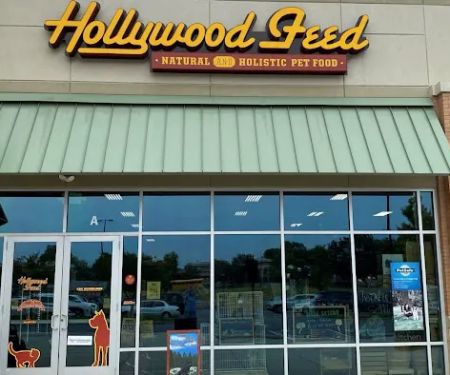 Hollywood Feed