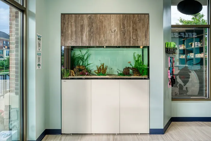 Neighborhood Veterinary Associates - NVA Picture 10