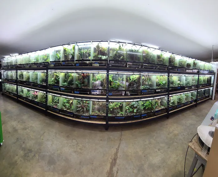 FROGDADDY LLC Picture 3
