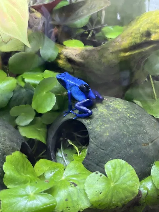 FROGDADDY LLC Picture 5