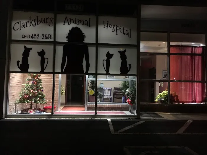 Clarksburg Animal Hospital Picture 3