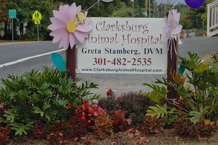 Clarksburg Animal Hospital Picture 7