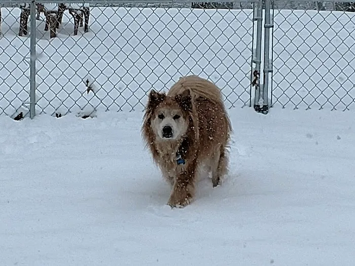 Clarksburg Animal Hospital Picture 9