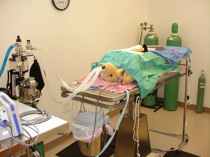 Clarksburg Animal Hospital Picture 8