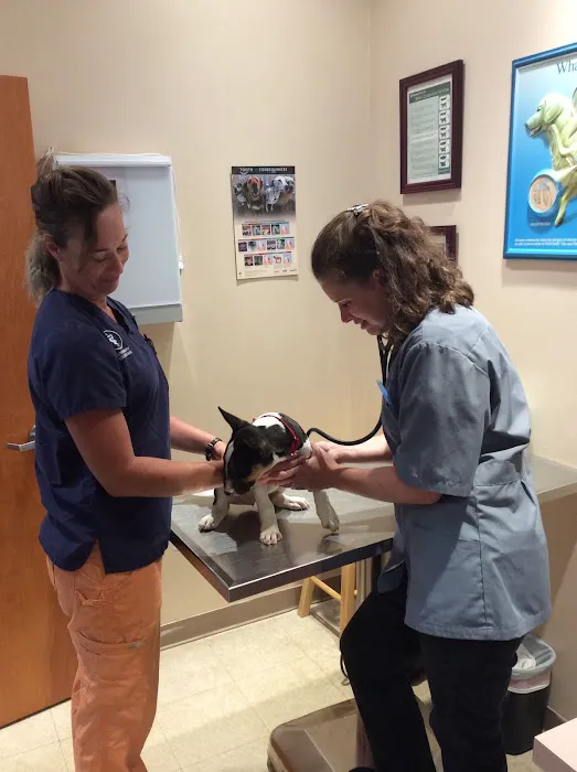 Clarksburg Animal Hospital Picture 5