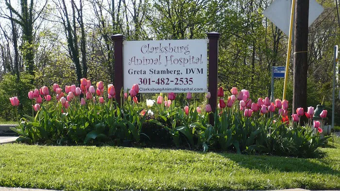 Clarksburg Animal Hospital Picture 4