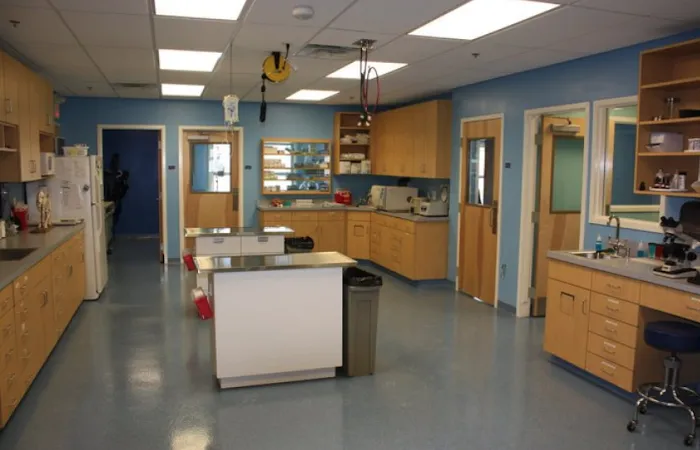 +PET Urgent Care Picture 7