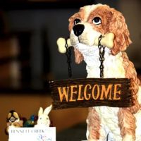 +PET Urgent Care ico