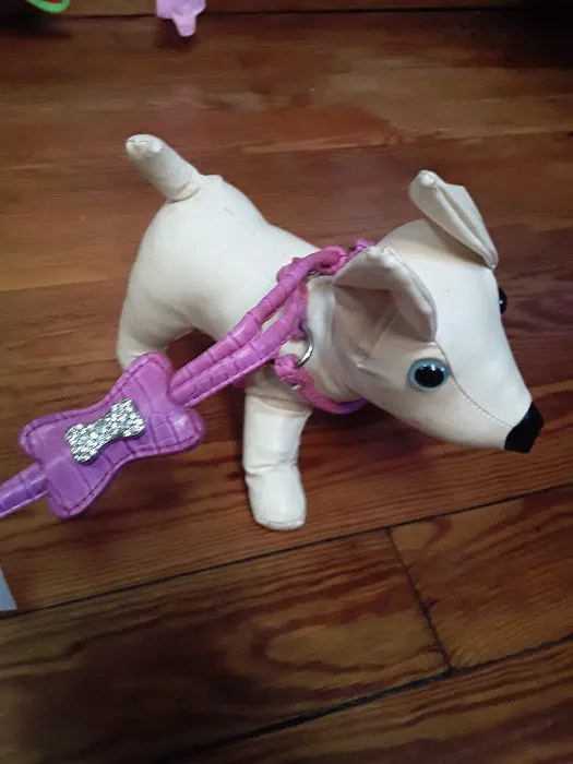 DOGMA & FETCH Picture 9
