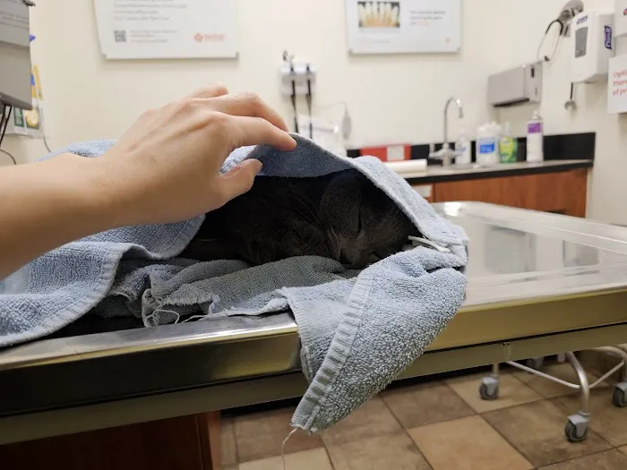 Banfield Pet Hospital Picture 10