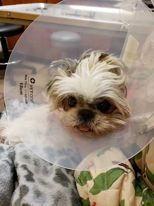 Banfield Pet Hospital Picture 1