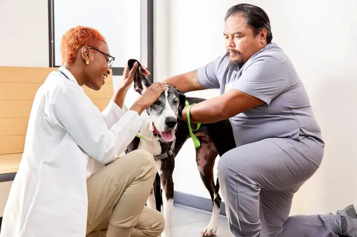 Banfield Pet Hospital Picture 8