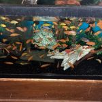 FiveFins Aquatics