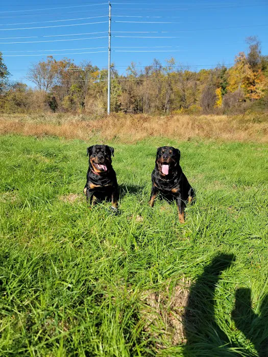 Buckeystown Veterinary Hospital Picture 10