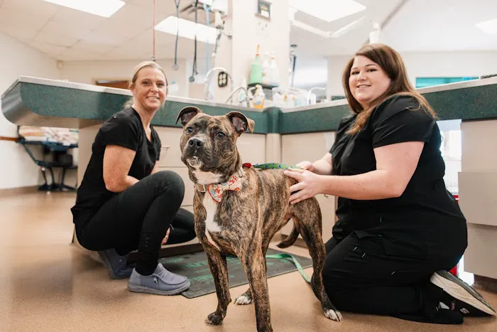 Buckeystown Veterinary Hospital Picture 1