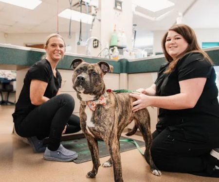 Buckeystown Veterinary Hospital