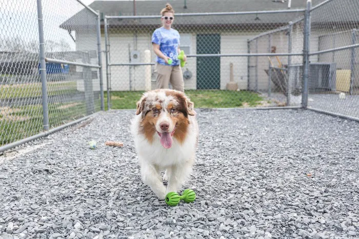Buckeystown Veterinary Hospital Picture 7