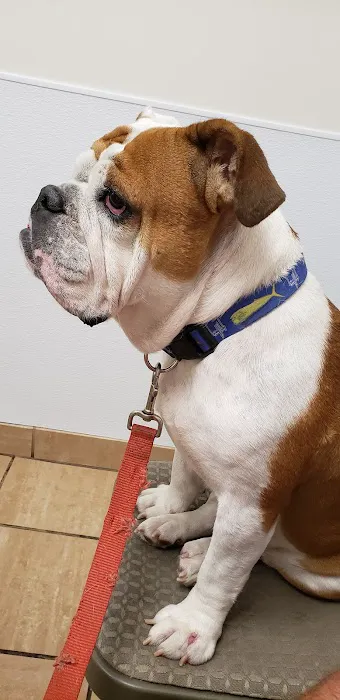 Buckeystown Veterinary Hospital Picture 5