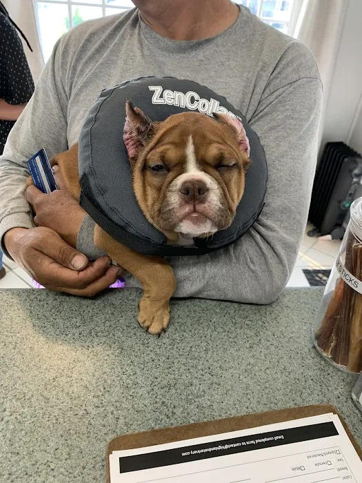 Highland Veterinary Hospital Picture 5