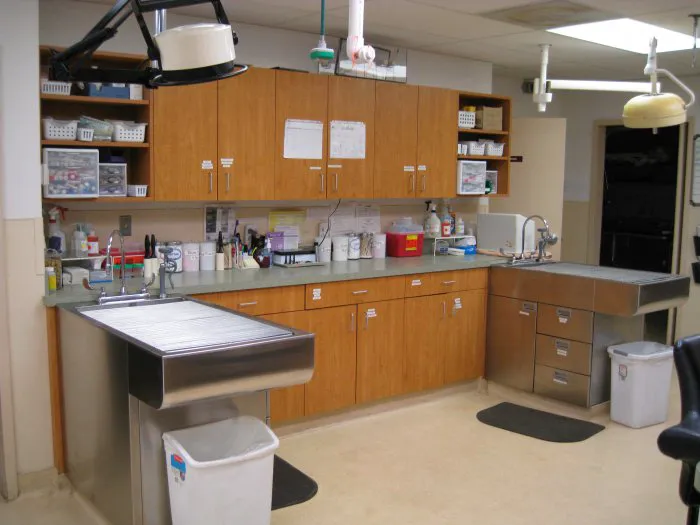 VCA Columbia Animal Hospital at Hickory Ridge Picture 1
