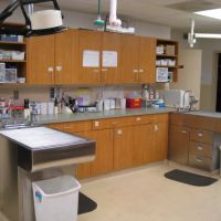 VCA Columbia Animal Hospital at Hickory Ridge ico