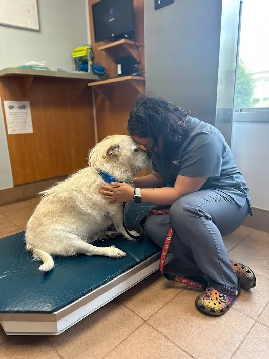 VCA Columbia Animal Hospital at Hickory Ridge Picture 5