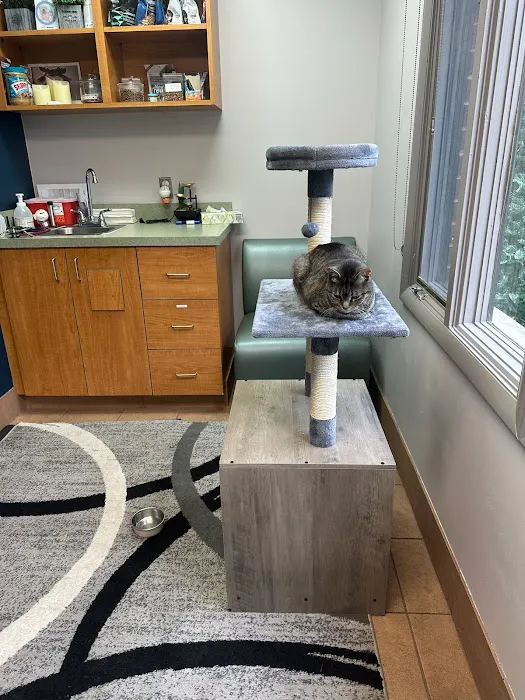 VCA Columbia Animal Hospital at Hickory Ridge Picture 6
