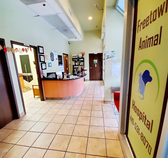 Freetown Animal Hospital Picture 1