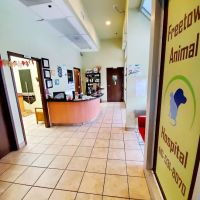 Freetown Animal Hospital ico