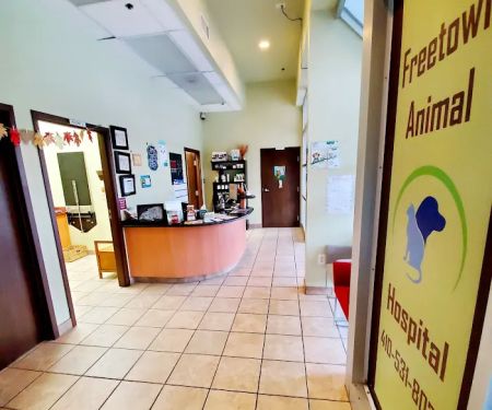 Freetown Animal Hospital