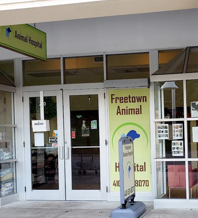 Freetown Animal Hospital Picture 2