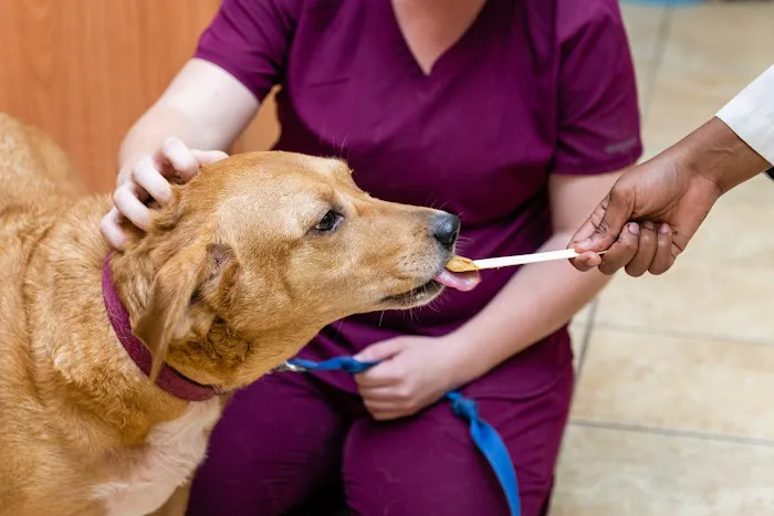 Freetown Animal Hospital Picture 6