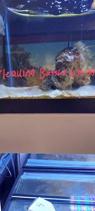 River and Reef Aquatics Picture 4