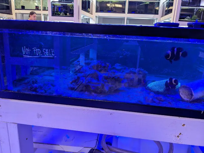 River and Reef Aquatics Picture 6