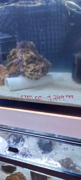 River and Reef Aquatics Picture 2