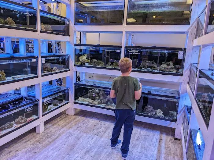 River and Reef Aquatics Picture 1