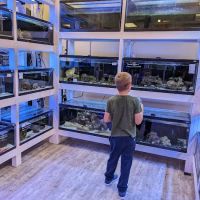 River and Reef Aquatics ico