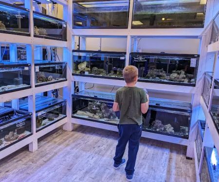River and Reef Aquatics