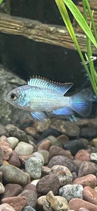 River and Reef Aquatics Picture 10