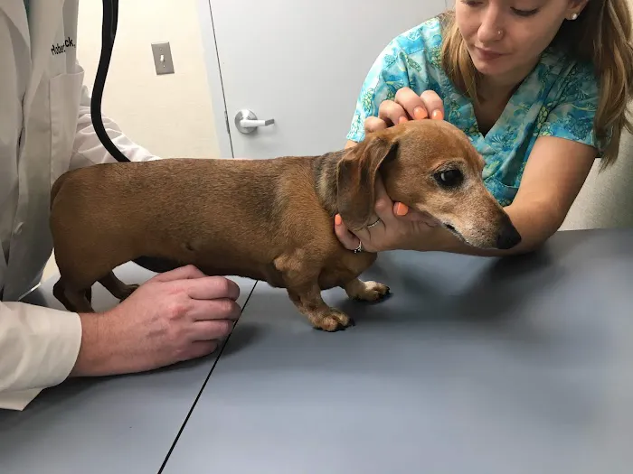 Laytonsville Veterinary Practice Picture 1