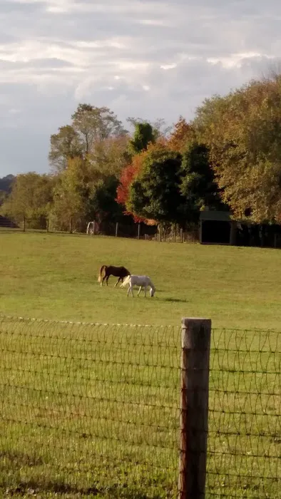 Laytonsville Veterinary Practice Picture 4