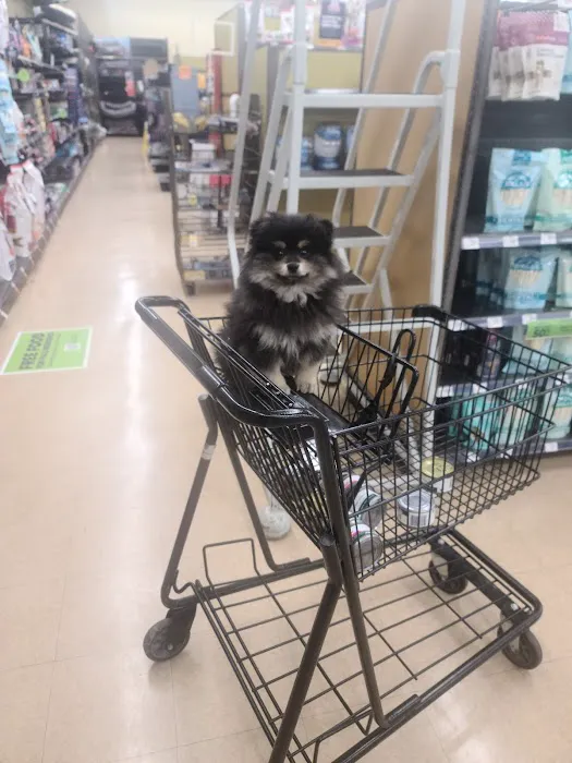 Petco Picture 1