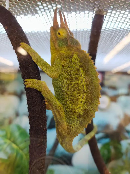 Petco Picture 7