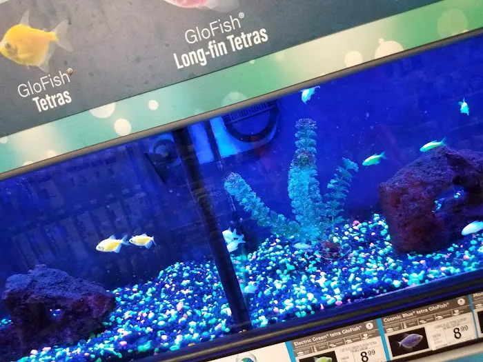 Petco Picture 9