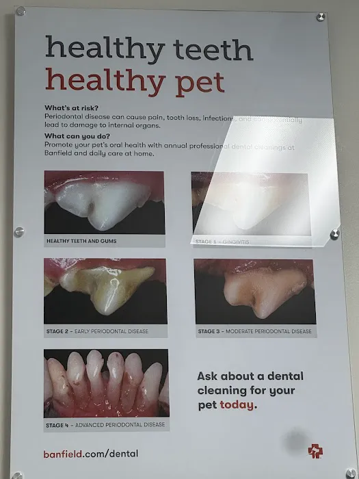 Banfield Pet Hospital Picture 2