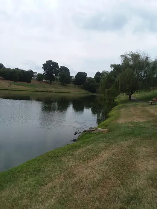 Southern Pond Management Picture 1