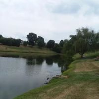 Southern Pond Management ico