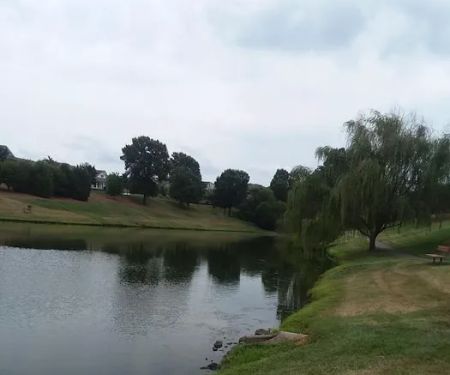 Southern Pond Management