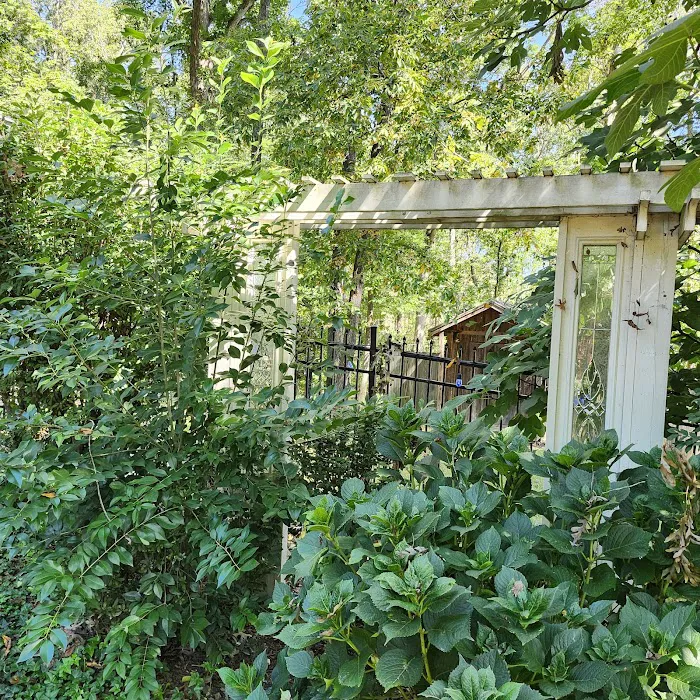 Southern Pond Management Picture 5